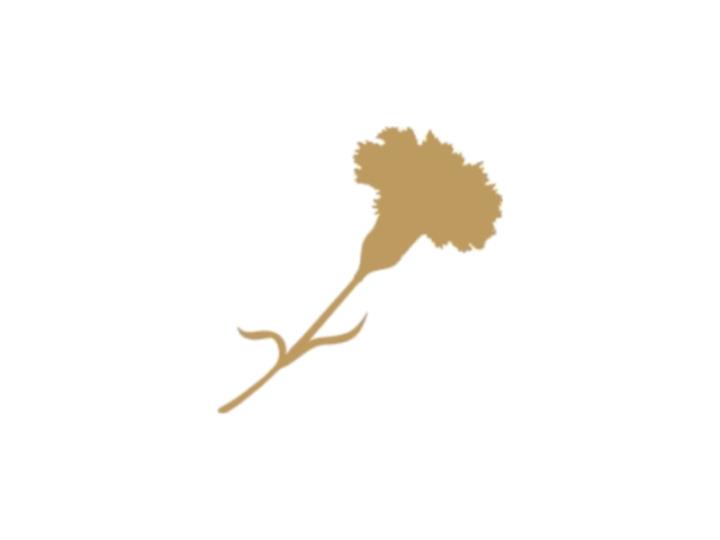 Red Carnation Hotels